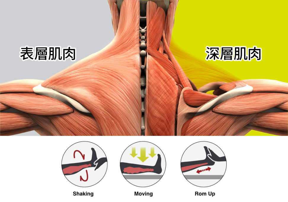 效果可達深層肌群